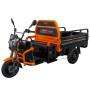 Triciclu electric cargo RURIS Pilot 3120N