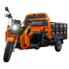 Triciclu electric cargo RURIS Pilot 3130N