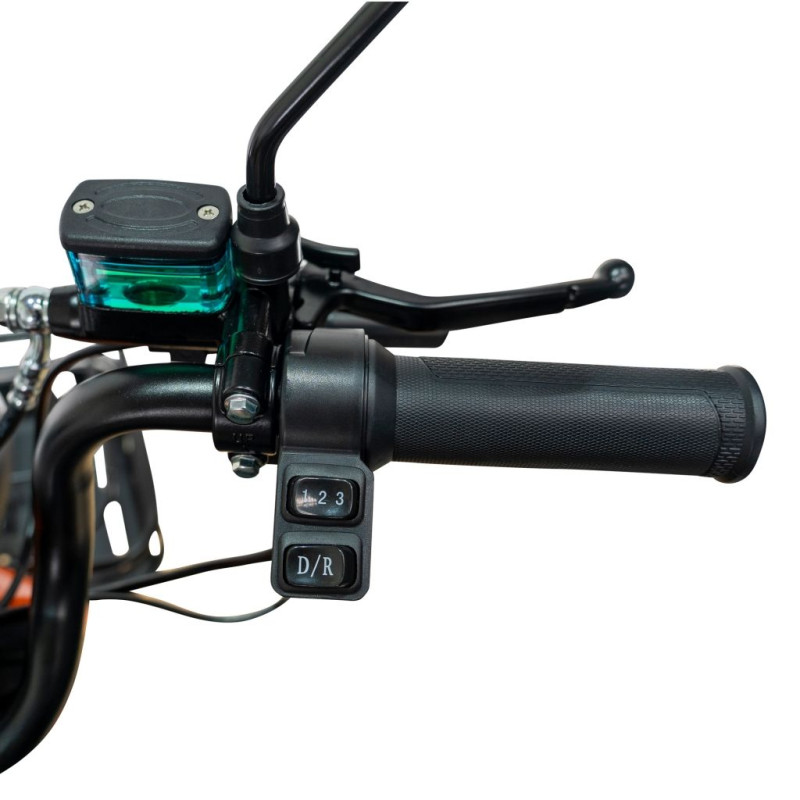 Triciclu electric RURIS Pilot 3020N