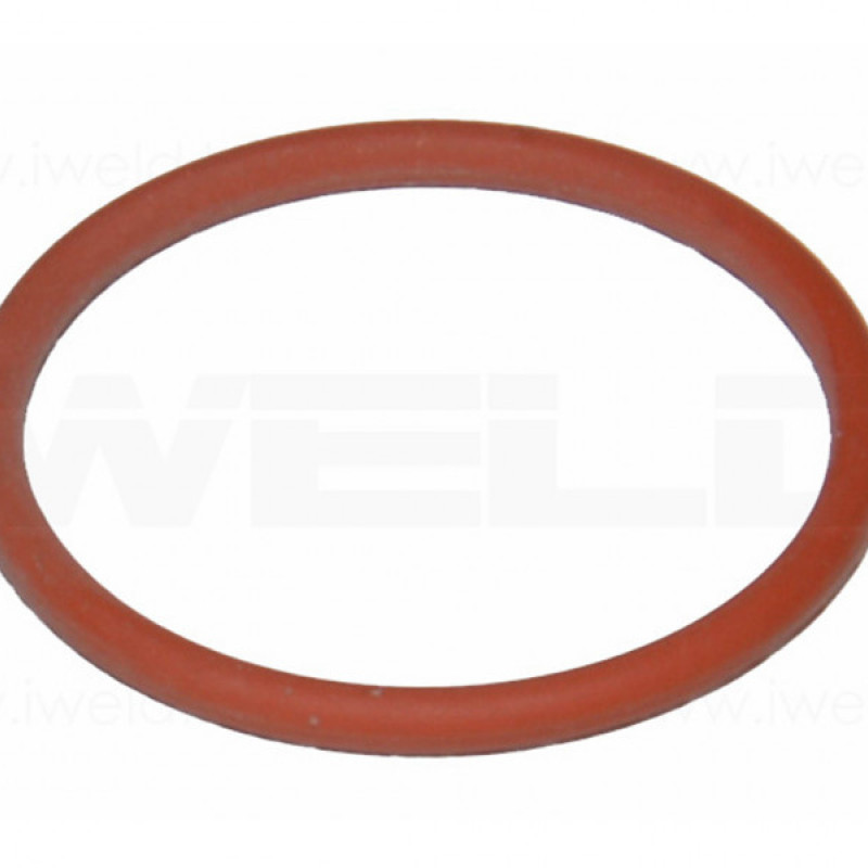 O-Ring Plasma PT40